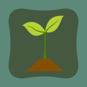 Seed Library 4